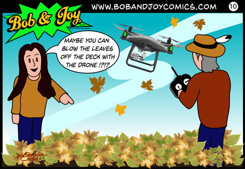 bob and joy comics