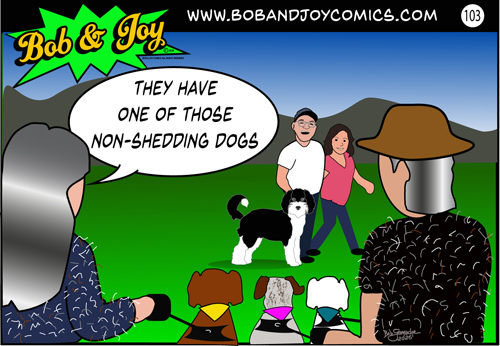 bob and joy comics